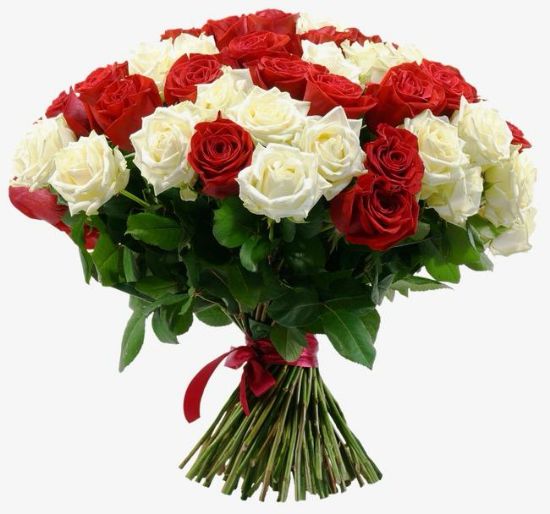 صورة باقه لولي لودي 7
