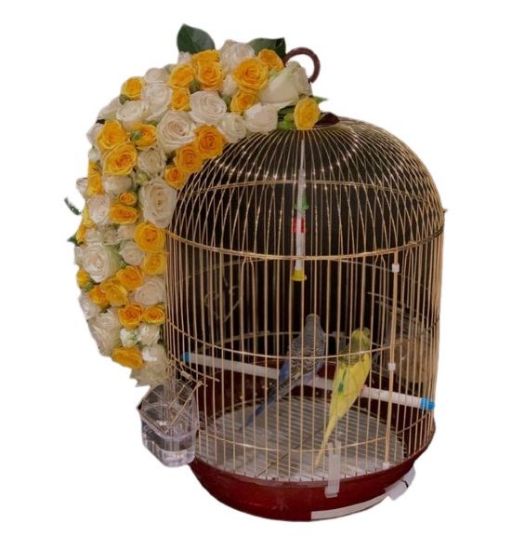 صورة قفص عصفور الحب  كبير
