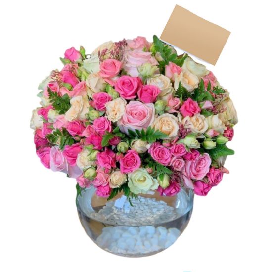 صورة فاز بيبي روز 2