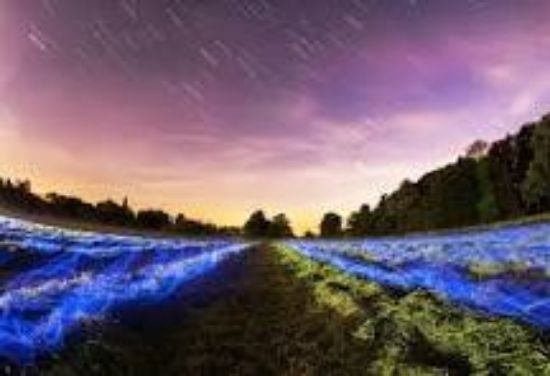 صورة test2
